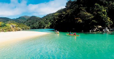 Discover the Beauty of Abel Tasman National Park: A Coastal Haven for Outdoor Enthusiasts and Nature Lovers