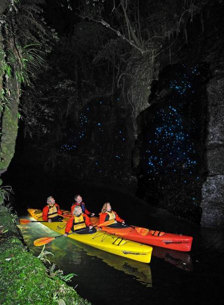 Things to do in Waitomo Caves