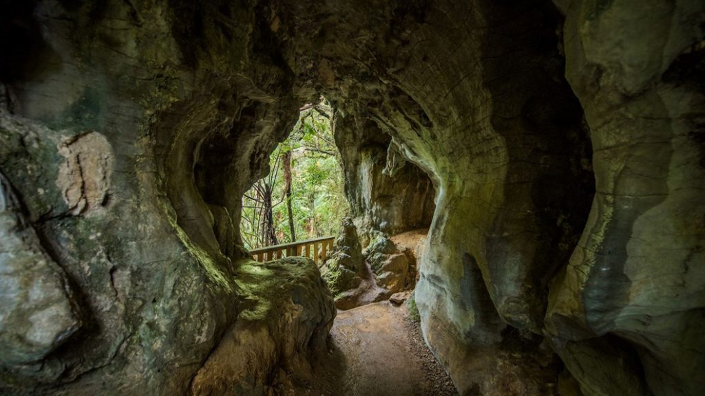 Explore the Enchanting Glowworm Caves of Waitomo, New Zealand