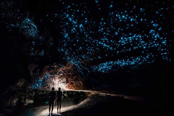 Explore the Enchanting Glowworm Caves of Waitomo, New Zealand